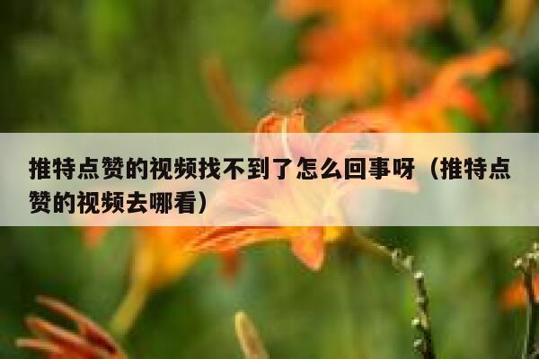 推特点赞的视频找不到了怎么回事呀（推特点赞的视频去哪看） 第1张
