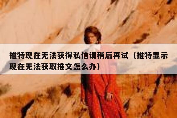 推特现在无法获得私信请稍后再试（推特显示现在无法获取推文怎么办） 第1张