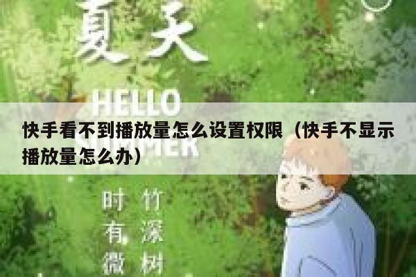 快手看不到播放量怎么设置权限（快手不显示播放量怎么办） 第1张