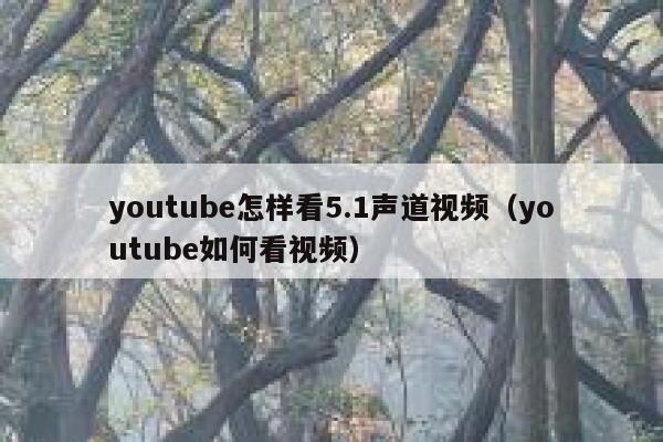 youtube怎样看5.1声道视频(youtube如何看视频) 第1张 youtube怎样看5.1声道视频(youtube如何看视频) 第1张