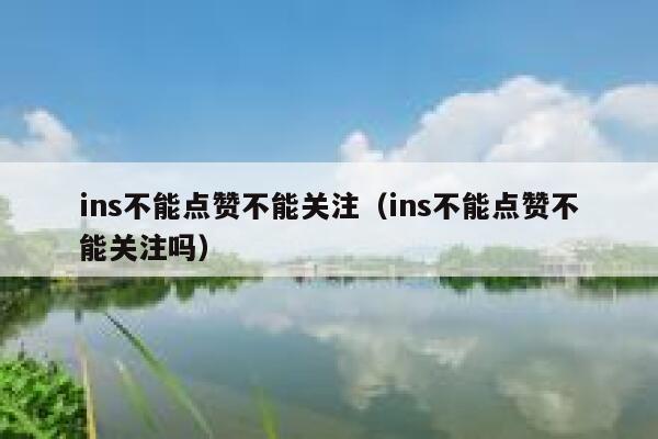 ins不能点赞不能关注（ins不能点赞不能关注吗） 第1张