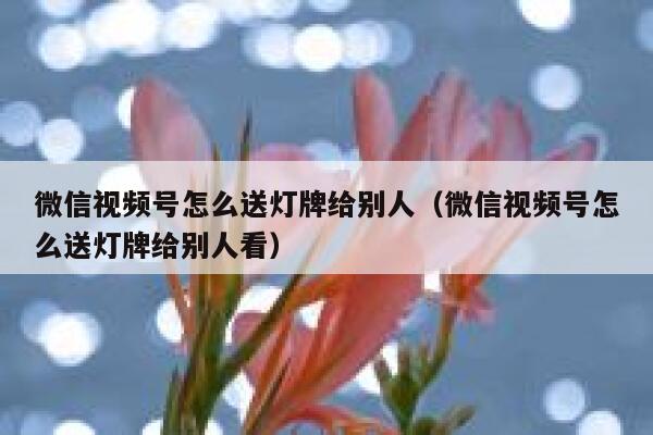 微信视频号怎么送灯牌给别人(微信视频号怎么送灯牌给别人看) 第1张 微信视频号怎么送灯牌给别人(微信视频号怎么送灯牌给别人看) 第1张