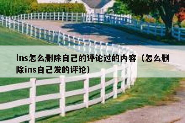 ins怎么删除自己的评论过的内容（怎么删除ins自己发的评论） 第1张
