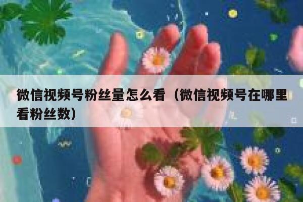 微信视频号粉丝量怎么看（微信视频号在哪里看粉丝数） 第1张