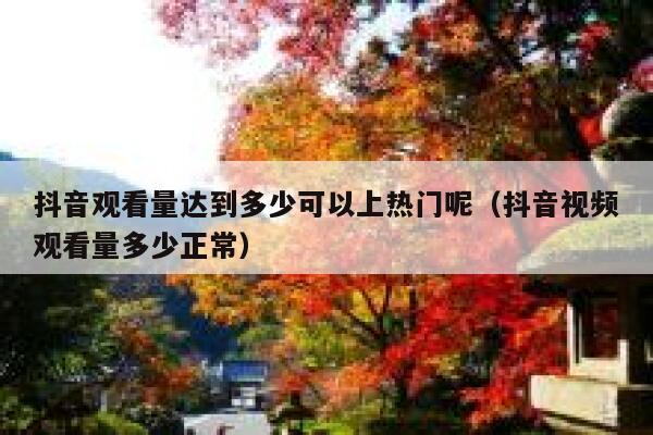 抖音观看量达到多少可以上热门呢（抖音视频观看量多少正常） 第1张