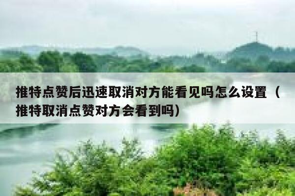 推特点赞后迅速取消对方能看见吗怎么设置（推特取消点赞对方会看到吗） 第1张