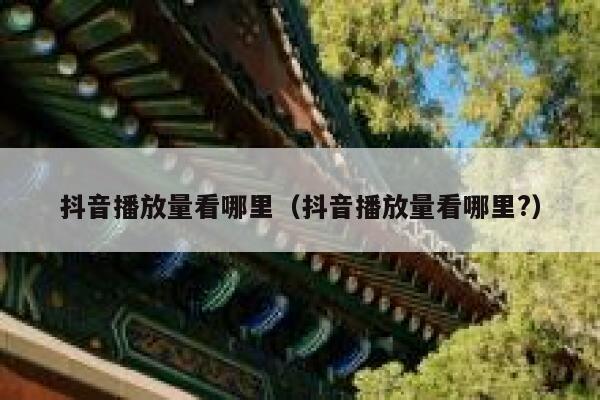 抖音播放量看哪里（抖音播放量看哪里?） 第1张