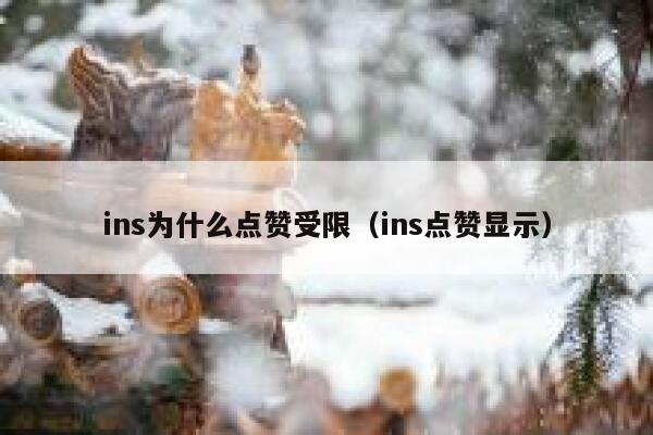 ins为什么点赞受限（ins点赞显示） 第1张