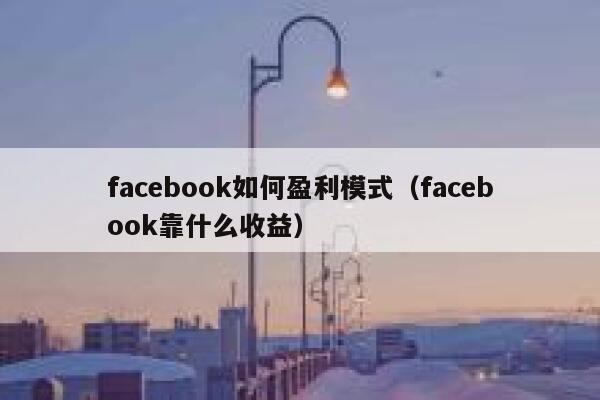 facebook如何盈利模式(facebook靠什么收益) 第1张 facebook如何盈利模式(facebook靠什么收益) 第1张