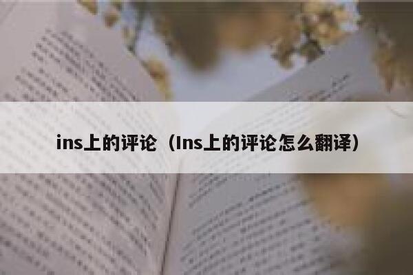 ins上的评论（Ins上的评论怎么翻译） 第1张
