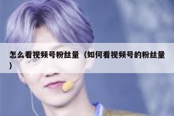 怎么看视频号粉丝量（如何看视频号的粉丝量） 第1张