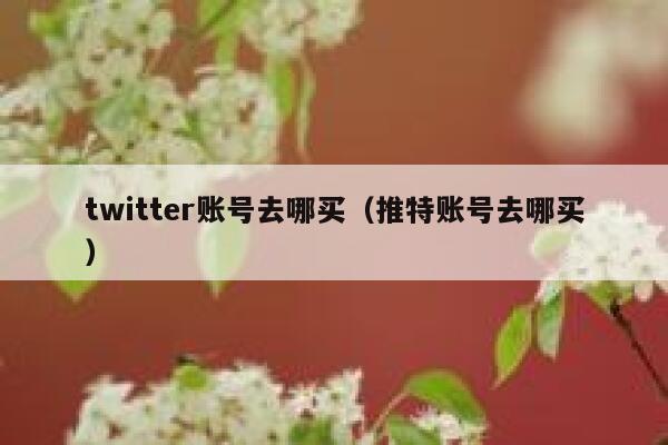 twitter账号去哪买（推特账号去哪买） 第1张