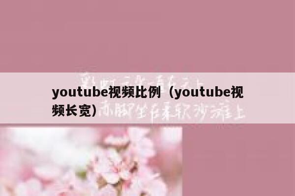 youtube视频比例（youtube视频长宽） 第1张