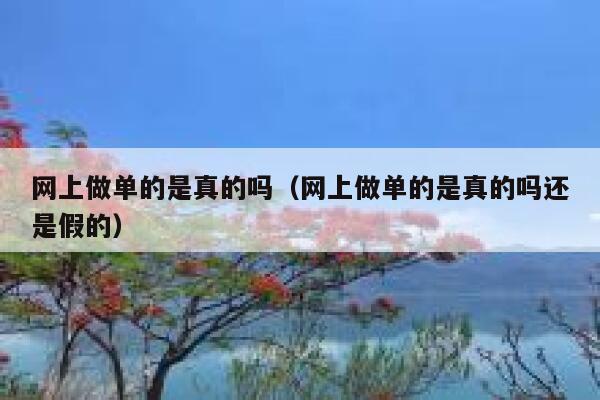 网上做单的是真的吗（网上做单的是真的吗还是假的） 第1张