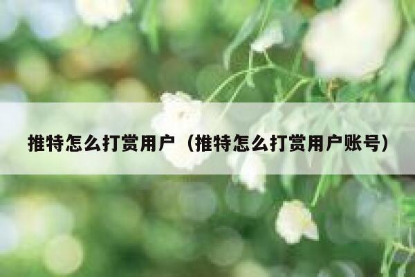 推特怎么打赏用户（推特怎么打赏用户账号） 第1张