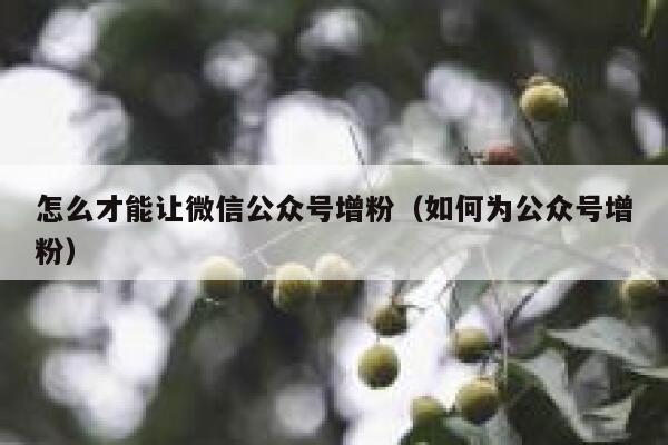 怎么才能让微信公众号增粉（如何为公众号增粉） 第1张