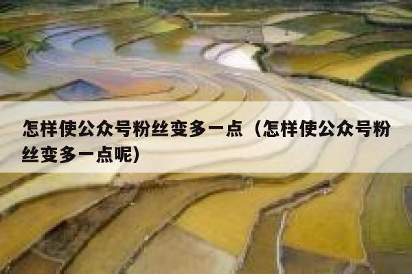 怎样使公众号粉丝变多一点(怎样使公众号粉丝变多一点呢) 第1张 怎样使公众号粉丝变多一点(怎样使公众号粉丝变多一点呢) 第1张