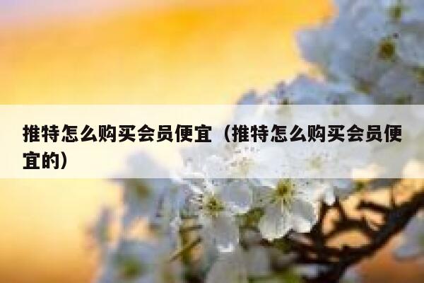 推特怎么购买会员便宜(推特怎么购买会员便宜的) 第1张 推特怎么购买会员便宜(推特怎么购买会员便宜的) 第1张