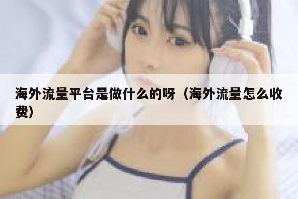 海外流量平台是做什么的呀（海外流量怎么收费） 第1张