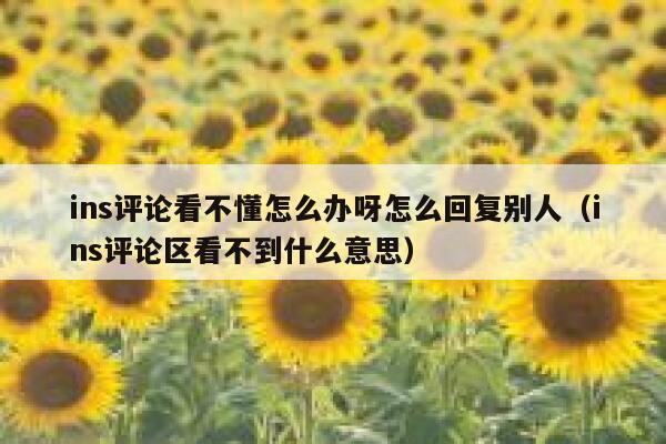 ins评论看不懂怎么办呀怎么回复别人（ins评论区看不到什么意思） 第1张