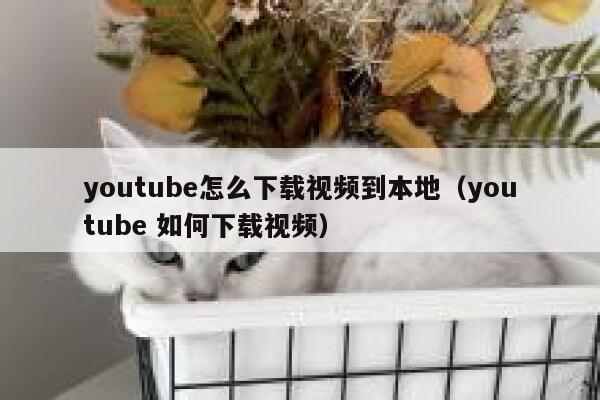 youtube怎么下载视频到本地（youtube 如何下载视频） 第1张