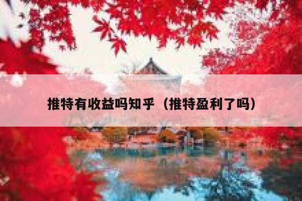 推特有收益吗知乎（推特盈利了吗） 第1张