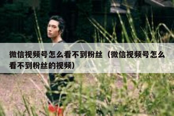 微信视频号怎么看不到粉丝(微信视频号怎么看不到粉丝的视频) 第1张 微信视频号怎么看不到粉丝(微信视频号怎么看不到粉丝的视频) 第1张
