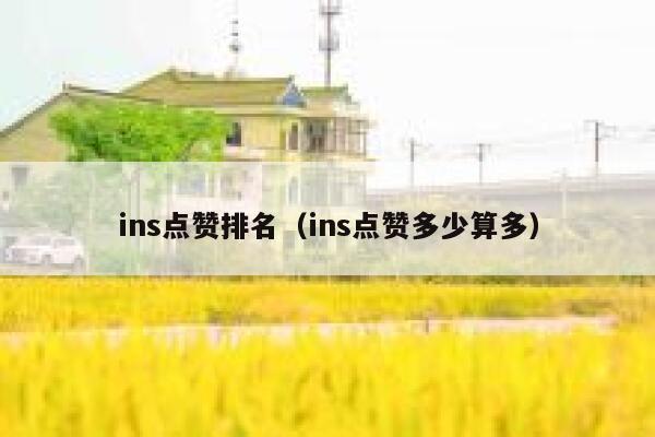 ins点赞排名（ins点赞多少算多） 第1张