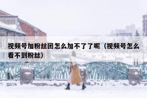 视频号加粉丝团怎么加不了了呢（视频号怎么看不到粉丝） 第1张