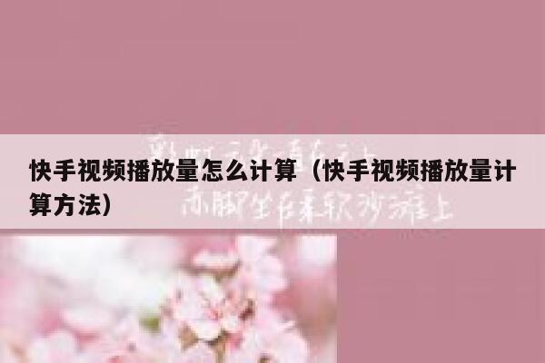 快手视频播放量怎么计算(快手视频播放量计算方法) 第1张 快手视频播放量怎么计算(快手视频播放量计算方法) 第1张