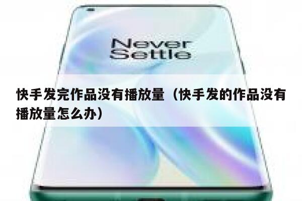 快手发完作品没有播放量(快手发的作品没有播放量怎么办) 第1张 快手发完作品没有播放量(快手发的作品没有播放量怎么办) 第1张