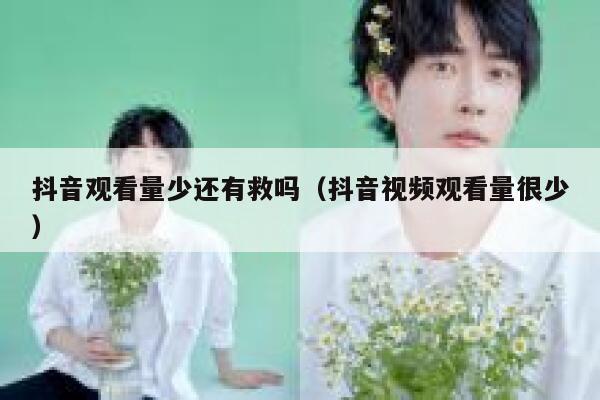 抖音观看量少还有救吗(抖音视频观看量很少) 第1张 抖音观看量少还有救吗(抖音视频观看量很少) 第1张