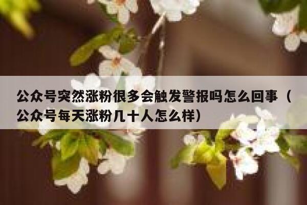 公众号突然涨粉很多会触发警报吗怎么回事(公众号每天涨粉几十人怎么样) 第1张 公众号突然涨粉很多会触发警报吗怎么回事(公众号每天涨粉几十人怎么样) 第1张