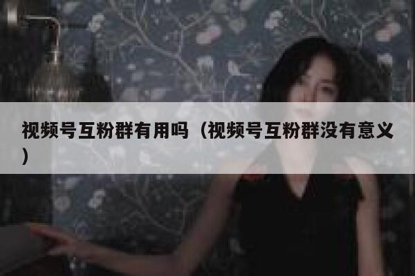 视频号互粉群有用吗（视频号互粉群没有意义） 第1张