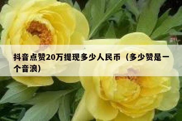 抖音点赞20万提现多少人民币(多少赞是一个音浪) 第1张 抖音点赞20万提现多少人民币(多少赞是一个音浪) 第1张
