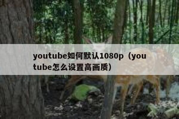 youtube如何默认1080p（youtube怎么设置高画质） 第1张
