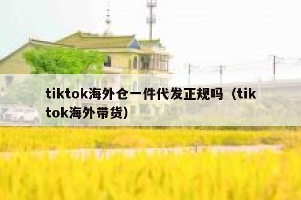 tiktok海外仓一件代发正规吗（tiktok海外带货） 第1张