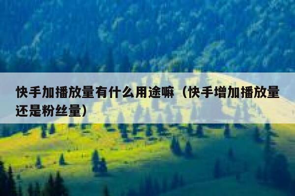 快手加播放量有什么用途嘛（快手增加播放量还是粉丝量） 第1张