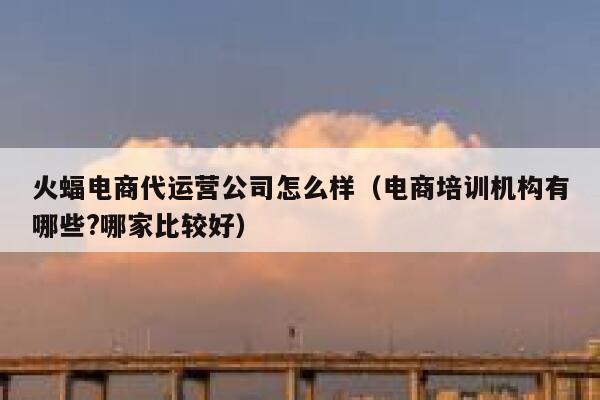 火蝠电商代运营公司怎么样（电商培训机构有哪些?哪家比较好） 第1张