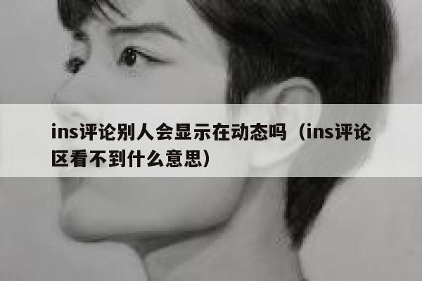 ins评论别人会显示在动态吗（ins评论区看不到什么意思） 第1张