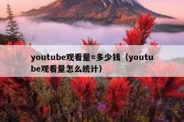 youtube观看量=多少钱（youtube观看量怎么统计） 第1张