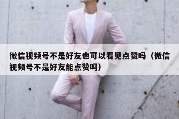 微信视频号不是好友也可以看见点赞吗(微信视频号不是好友能点赞吗) 第1张 微信视频号不是好友也可以看见点赞吗(微信视频号不是好友能点赞吗) 第1张