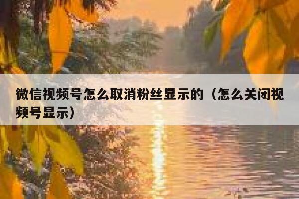 微信视频号怎么取消粉丝显示的（怎么关闭视频号显示） 第1张