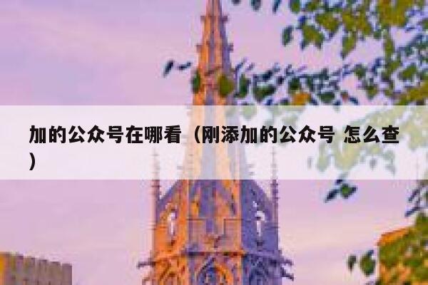 加的公众号在哪看（刚添加的公众号 怎么查） 第1张