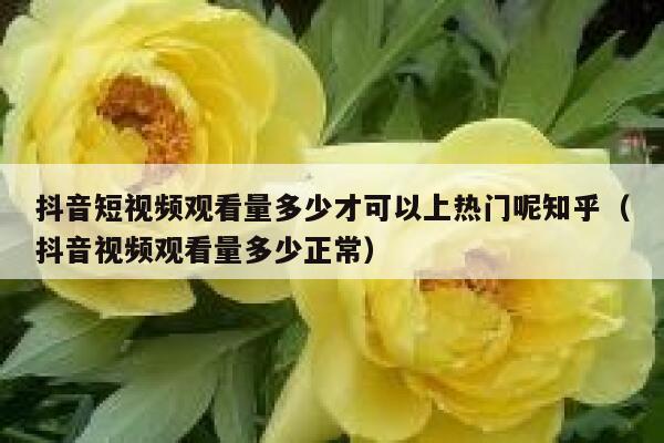 抖音短视频观看量多少才可以上热门呢知乎（抖音视频观看量多少正常） 第1张