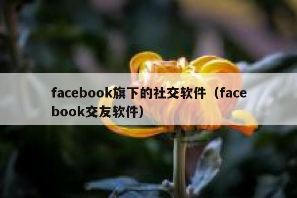facebook旗下的社交软件（facebook交友软件） 第1张