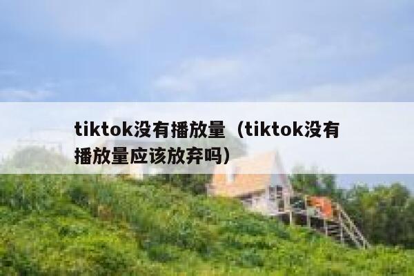 tiktok没有播放量（tiktok没有播放量应该放弃吗） 第1张