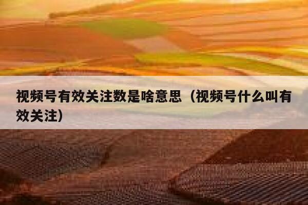 视频号有效关注数是啥意思(视频号什么叫有效关注) 第1张 视频号有效关注数是啥意思(视频号什么叫有效关注) 第1张