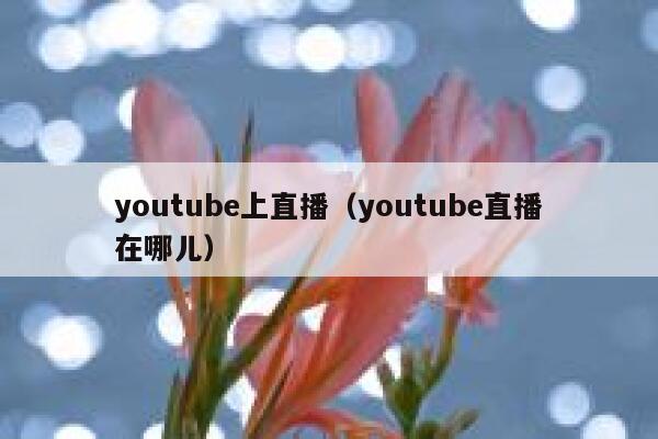 youtube上直播（youtube直播在哪儿） 第1张