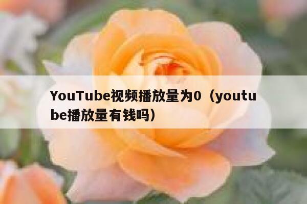 YouTube视频播放量为0（youtube播放量有钱吗） 第1张